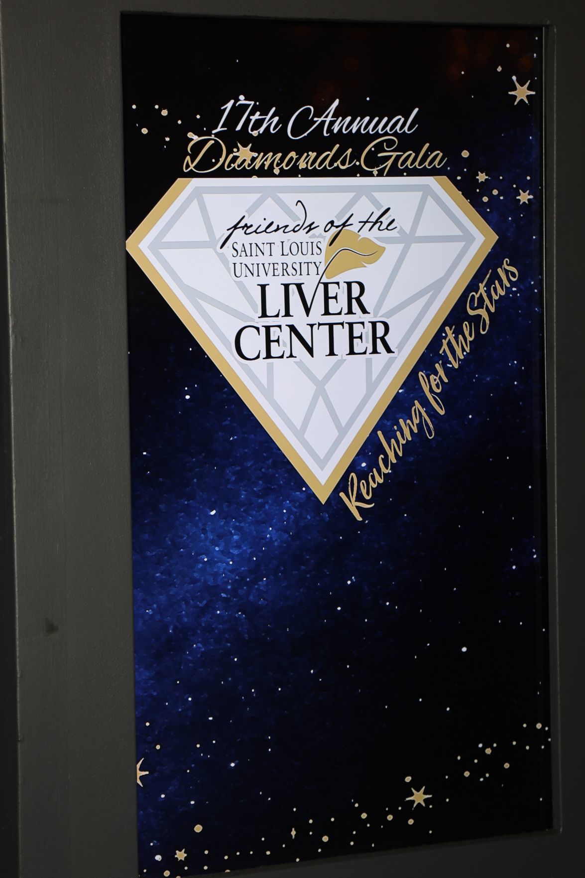2019-Liver-Diamond-Gala-018.JPG